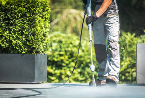 Best Driveway Pressure Washing  in Eddington, PA