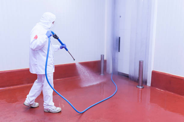 Paint Preparation in Eddington, PA